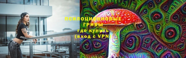 ECSTASY Баксан